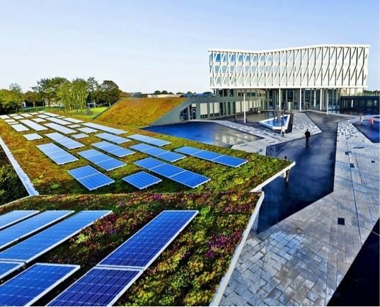 Groendak met zonnepanelen naast een modern gebouw